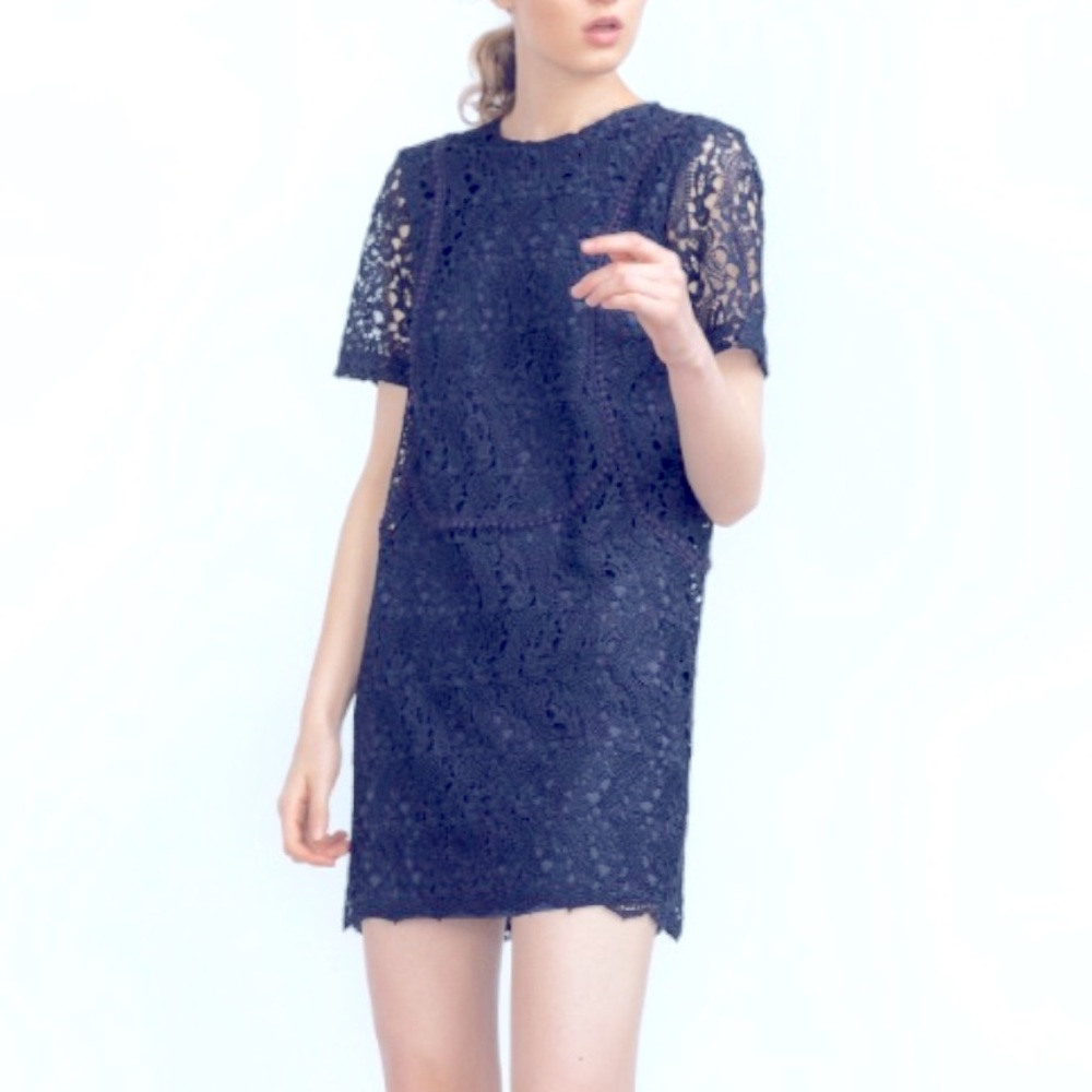 Zara Navy Lace Shift Dress
